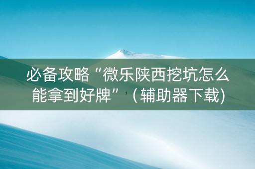 必备攻略“微乐陕西挖坑怎么能拿到好牌”（辅助器下载)