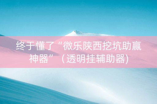 终于懂了“微乐陕西挖坑助赢神器”（透明挂辅助器)