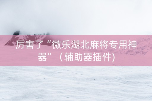 厉害了“微乐湖北麻将专用神器”（辅助器插件)