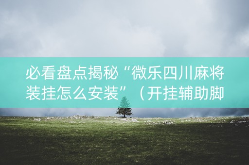 必看盘点揭秘“微乐四川麻将装挂怎么安装”（开挂辅助脚本)