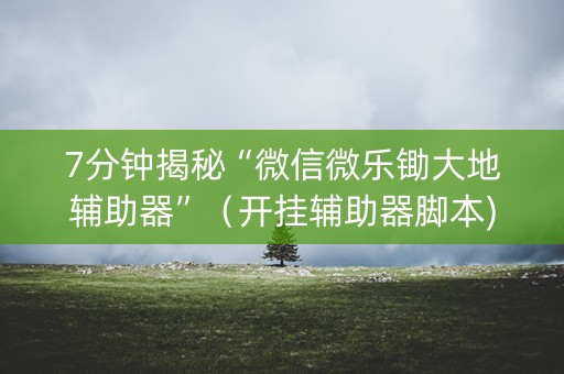 7分钟揭秘“微信微乐锄大地辅助器”（开挂辅助器脚本)