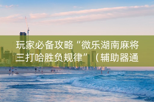 玩家必备攻略“微乐湖南麻将三打哈胜负规律”（辅助器通用版)