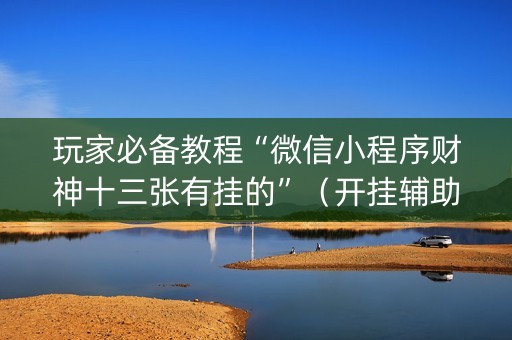 玩家必备教程“微信小程序财神十三张有挂的”（开挂辅助器插件)