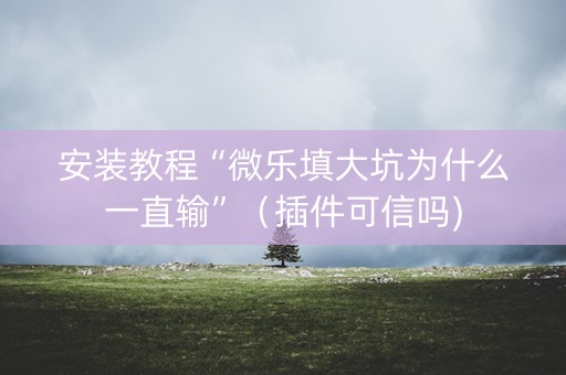 安装教程“微乐填大坑为什么一直输”（插件可信吗)