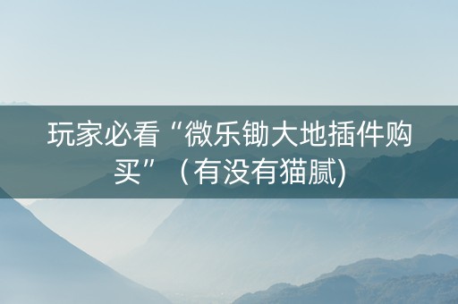 玩家必看“微乐锄大地插件购买”（有没有猫腻)