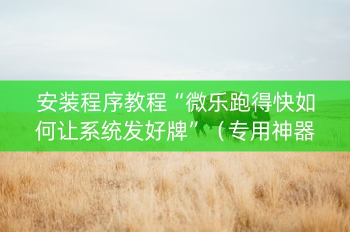 安装程序教程“微乐跑得快如何让系统发好牌”（专用神器)