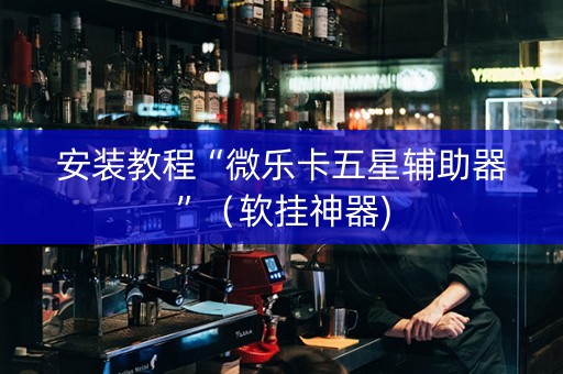 安装教程“微乐卡五星辅助器”（软挂神器)
