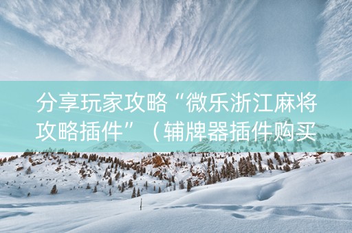 分享玩家攻略“微乐浙江麻将攻略插件”（辅牌器插件购买)