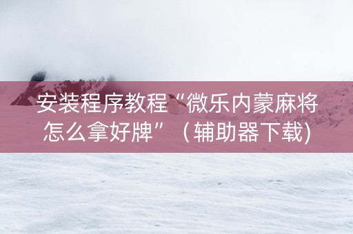 安装程序教程“微乐内蒙麻将怎么拿好牌”（辅助器下载)