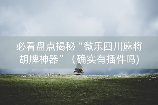 必看盘点揭秘“微乐四川麻将胡牌神器”（确实有插件吗)