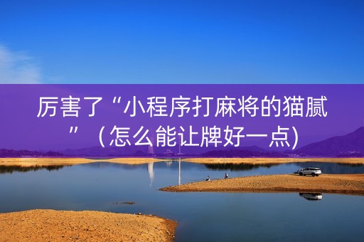 厉害了“小程序打麻将的猫腻”（怎么能让牌好一点)