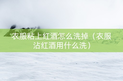 衣服粘上红酒怎么洗掉（衣服沾红酒用什么洗）
