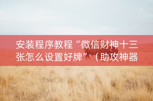 安装程序教程“微信财神十三张怎么设置好牌”（助攻神器)
