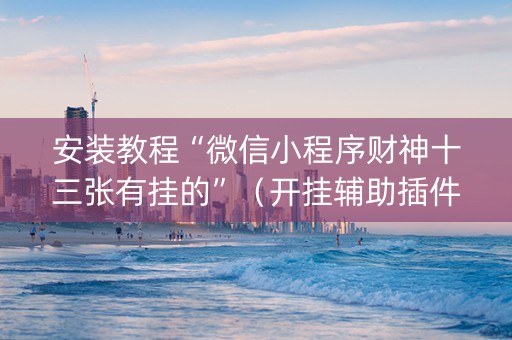 安装教程“微信小程序财神十三张有挂的”（开挂辅助插件)