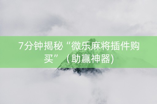 7分钟揭秘“微乐麻将插件购买”（助赢神器)
