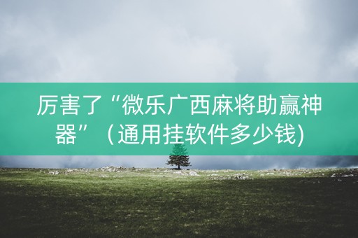 厉害了“微乐广西麻将助赢神器”（通用挂软件多少钱)