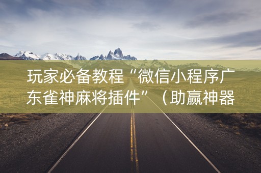 玩家必备教程“微信小程序广东雀神麻将插件”（助赢神器购买)