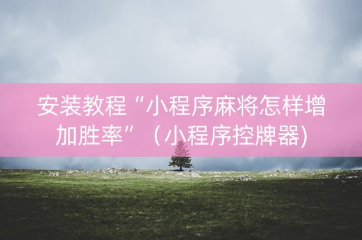 安装教程“小程序麻将怎样增加胜率”（小程序控牌器)