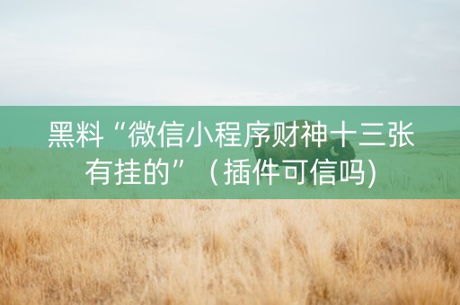 黑料“微信小程序财神十三张有挂的”（插件可信吗)