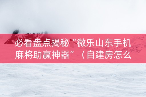 必看盘点揭秘“微乐山东手机麻将助赢神器”（自建房怎么拿好牌)