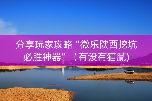 分享玩家攻略“微乐陕西挖坑必胜神器”（有没有猫腻)