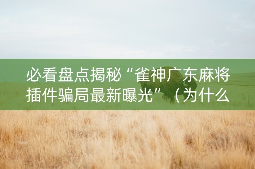 必看盘点揭秘“雀神广东麻将插件骗局最新曝光”（为什么有人一直赢)