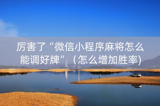 厉害了“微信小程序麻将怎么能调好牌”（怎么增加胜率)