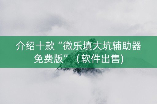 介绍十款“微乐填大坑辅助器免费版”（软件出售)