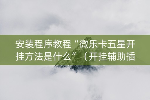 安装程序教程“微乐卡五星开挂方法是什么”（开挂辅助插件)