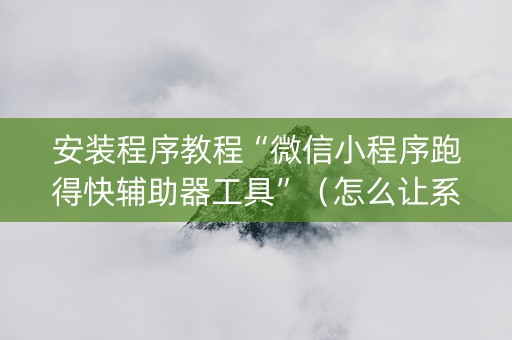 安装程序教程“微信小程序跑得快辅助器工具”（怎么让系统给自己好牌)