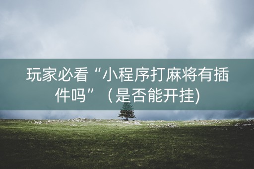 玩家必看“小程序打麻将有插件吗”（是否能开挂)