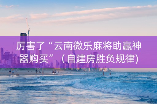 厉害了“云南微乐麻将助赢神器购买”（自建房胜负规律)