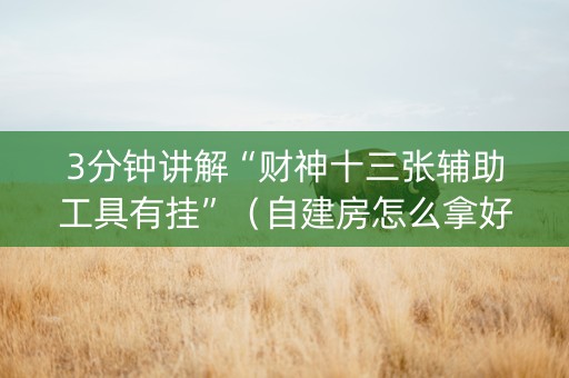 3分钟讲解“财神十三张辅助工具有挂”（自建房怎么拿好牌)