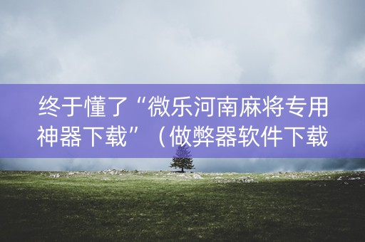 终于懂了“微乐河南麻将专用神器下载”（做弊器软件下载)