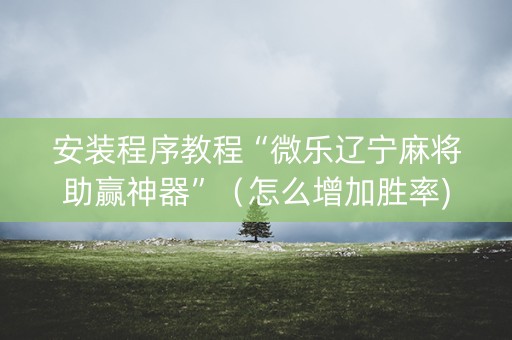 安装程序教程“微乐辽宁麻将助赢神器”（怎么增加胜率)
