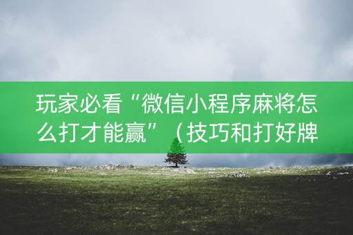玩家必看“微信小程序麻将怎么打才能赢”（技巧和打好牌方法)