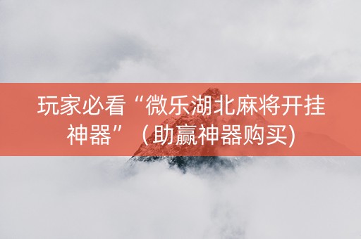 玩家必看“微乐湖北麻将开挂神器”（助赢神器购买)