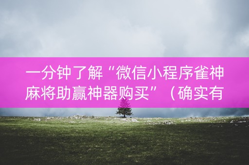 一分钟了解“微信小程序雀神麻将助赢神器购买”（确实有插件吗)