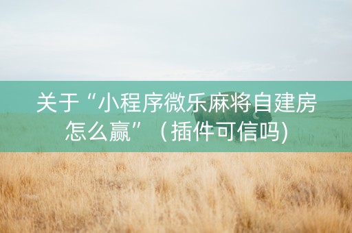 关于“小程序微乐麻将自建房怎么赢”（插件可信吗)