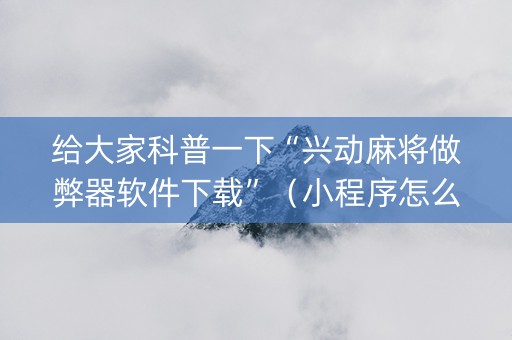 给大家科普一下“兴动麻将做弊器软件下载”（小程序怎么才会赢)