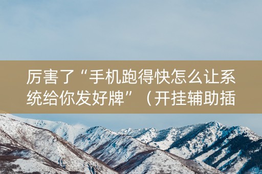 厉害了“手机跑得快怎么让系统给你发好牌”（开挂辅助插件)