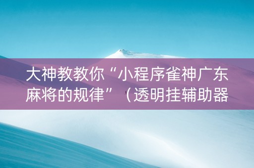 大神教教你“小程序雀神广东麻将的规律”（透明挂辅助器)