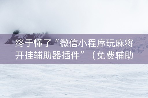 终于懂了“微信小程序玩麻将开挂辅助器插件”（免费辅助)
