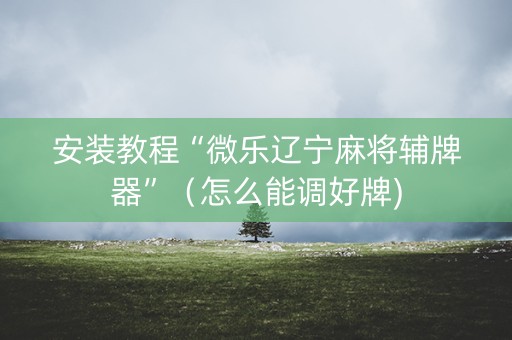 安装教程“微乐辽宁麻将辅牌器”（怎么能调好牌)