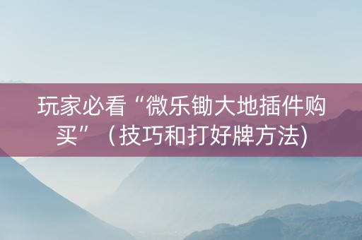 玩家必看“微乐锄大地插件购买”（技巧和打好牌方法)