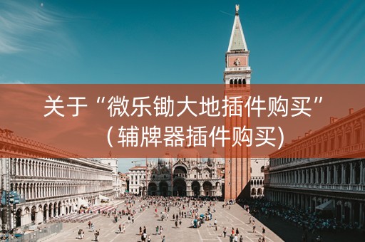 关于“微乐锄大地插件购买”（辅牌器插件购买)