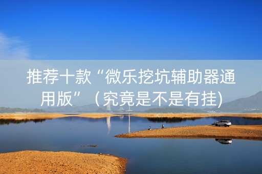 推荐十款“微乐挖坑辅助器通用版”（究竟是不是有挂)