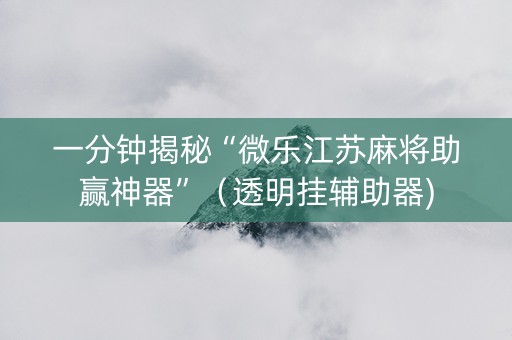 一分钟揭秘“微乐江苏麻将助赢神器”（透明挂辅助器)