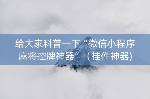 给大家科普一下“微信小程序麻将控牌神器”（挂件神器)