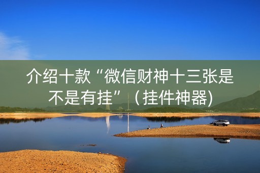 介绍十款“微信财神十三张是不是有挂”（挂件神器)